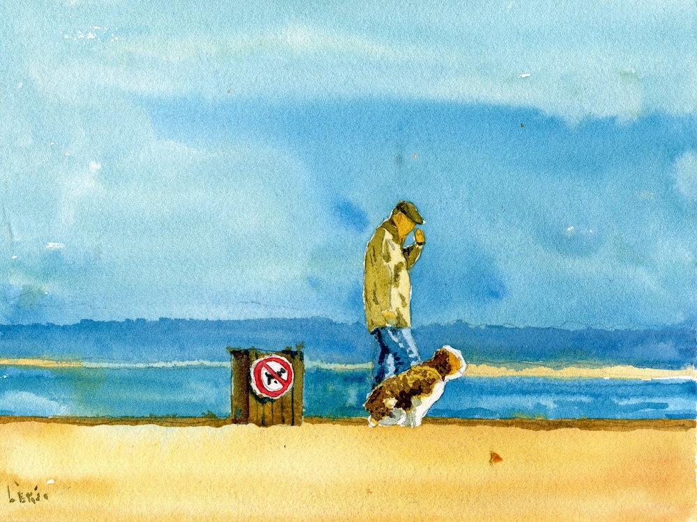 🌅 Douceur d'arrière-saison au Cap Ferret.