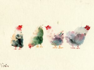 Aquarelle de poules « Les Quatre Saisons des Plumes »
