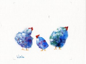Aquarelle de poules : « L&rsquo;Horloge Biologique, en Trois Temps »