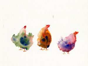 Aquarelle de poules « Le Trio Improvisé »