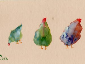 Aquarelle de poules « Les Trois Poules »