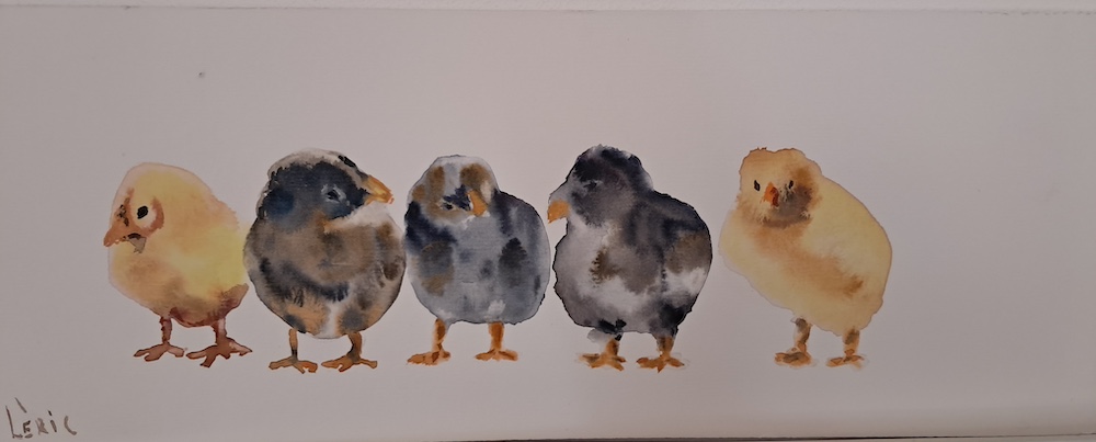 Un Commando de Poussins Fonce sur l'Atelier 70 !